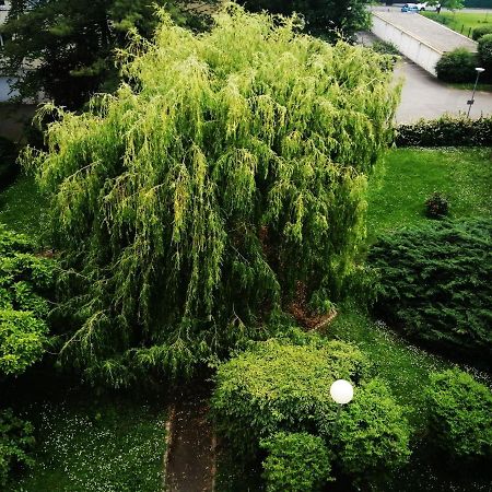 P' Ti Ecrin De Verdure Illzach Exterior foto