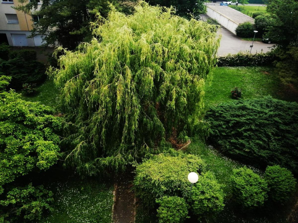 P' Ti Ecrin De Verdure Illzach Exterior foto